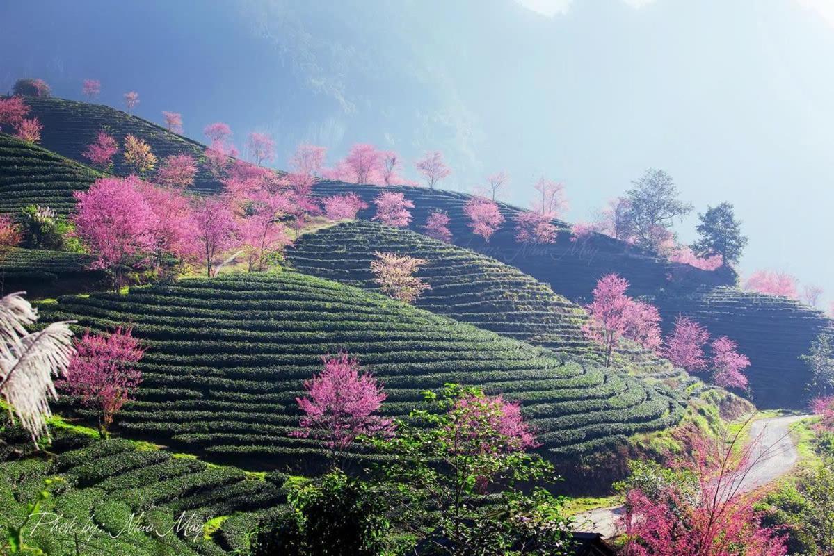 Ha Giang 2* Шапа